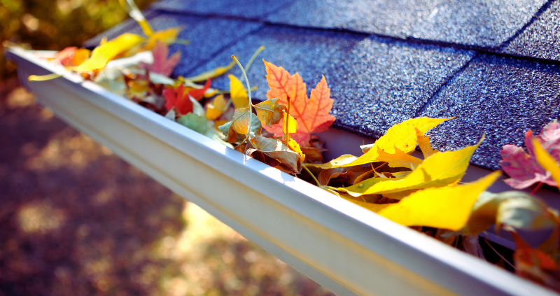 Autumn leaves causing blocked gutters on tiled house roof