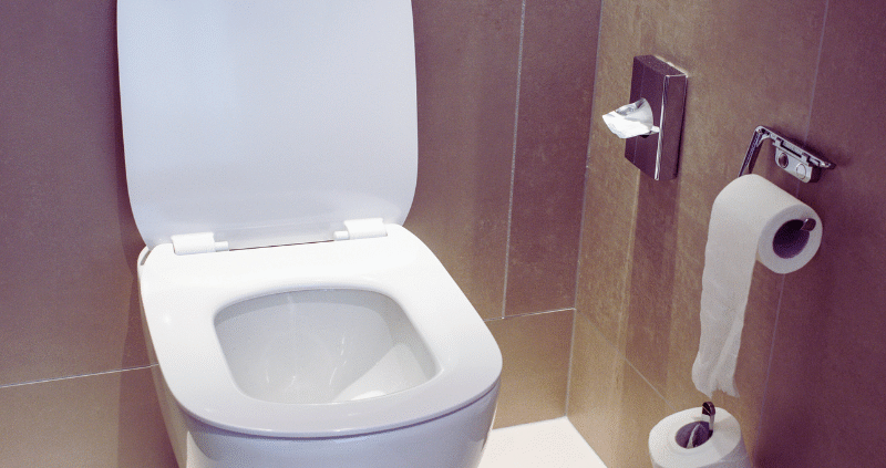 Toilet to represent leaking toilet