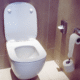 Toilet to represent leaking toilet